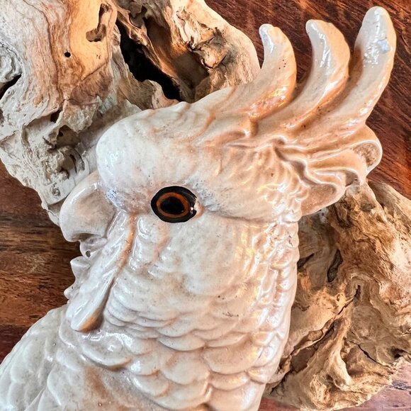 1940’s Chalkware Cockatoo - Picture 2 of 13